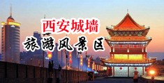 东北淫女中国陕西-西安城墙旅游风景区